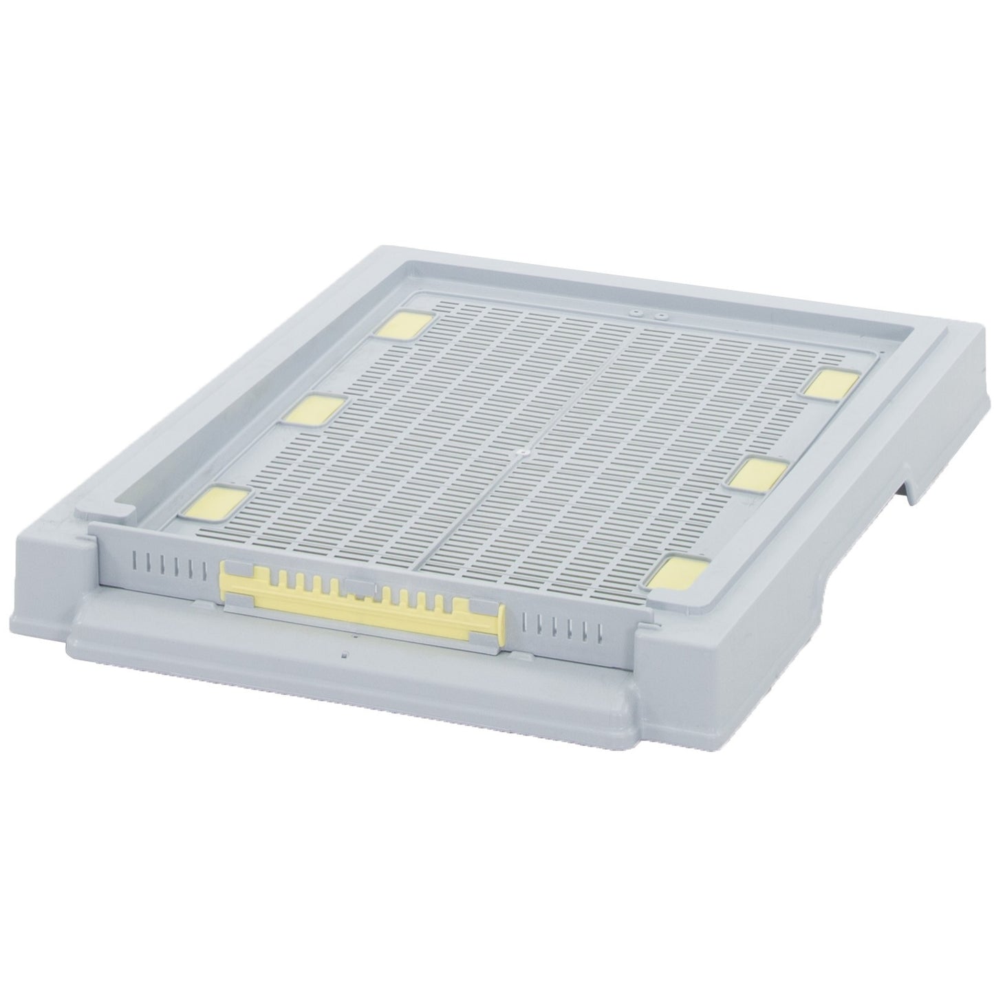 Multi-frame plastic low bottom board, hygenic
