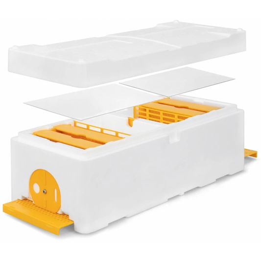 Twin Queen Breeding Box (complete set with frames)