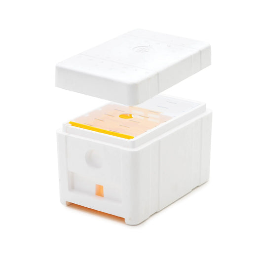 "ApiTek" mini beehive